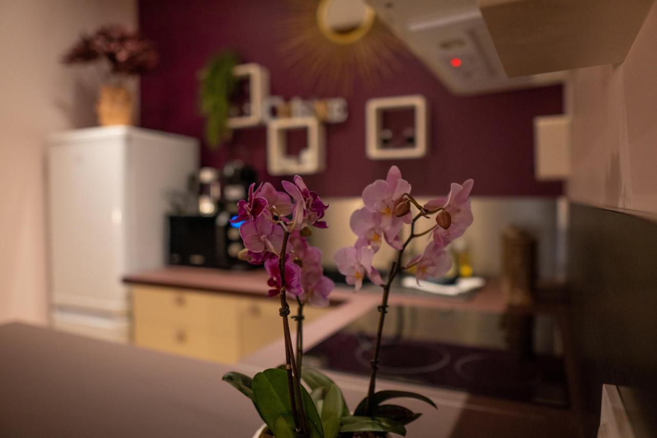 Studio Coeur De Ville Sanary Tres Cosy Parking Εξωτερικό φωτογραφία